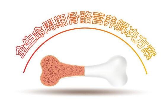 從百立樂維生素AD到CBPS，論全生命周期骨骼健康營養(yǎng)方案